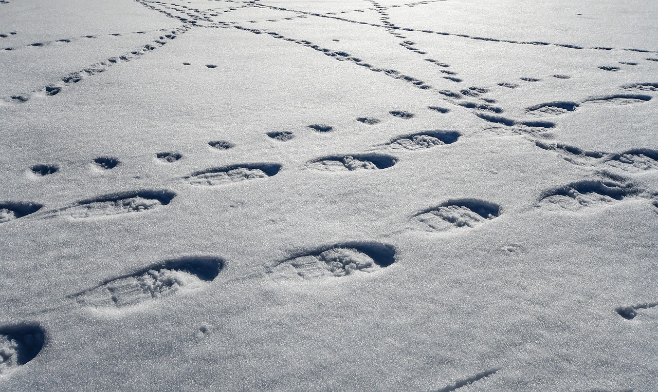 snow-4072526_1280